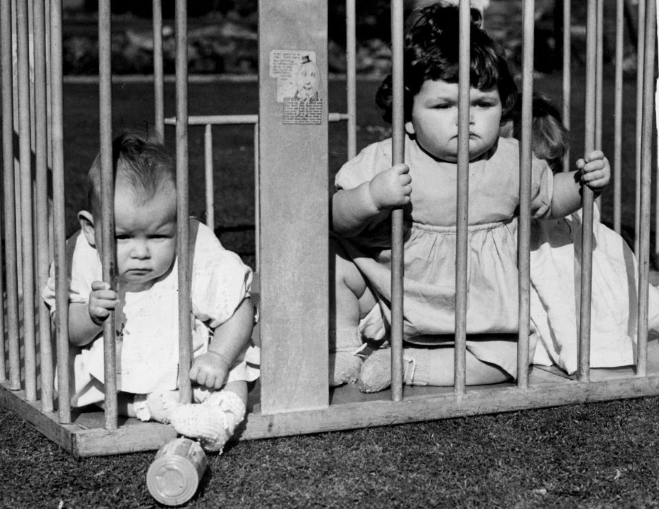 Jailbird Babies