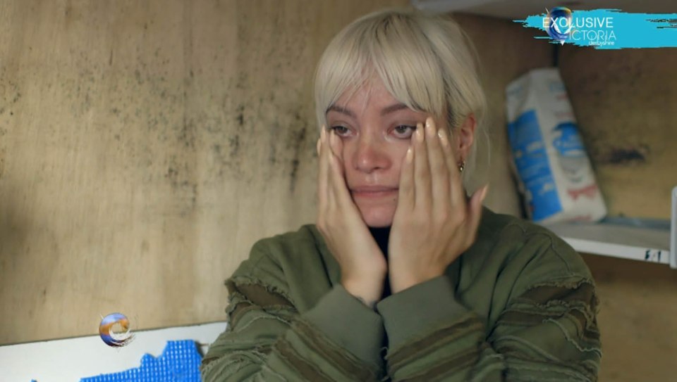  Lily Allen sparked outrage as she took it upon herself to apologise on behalf of Brits