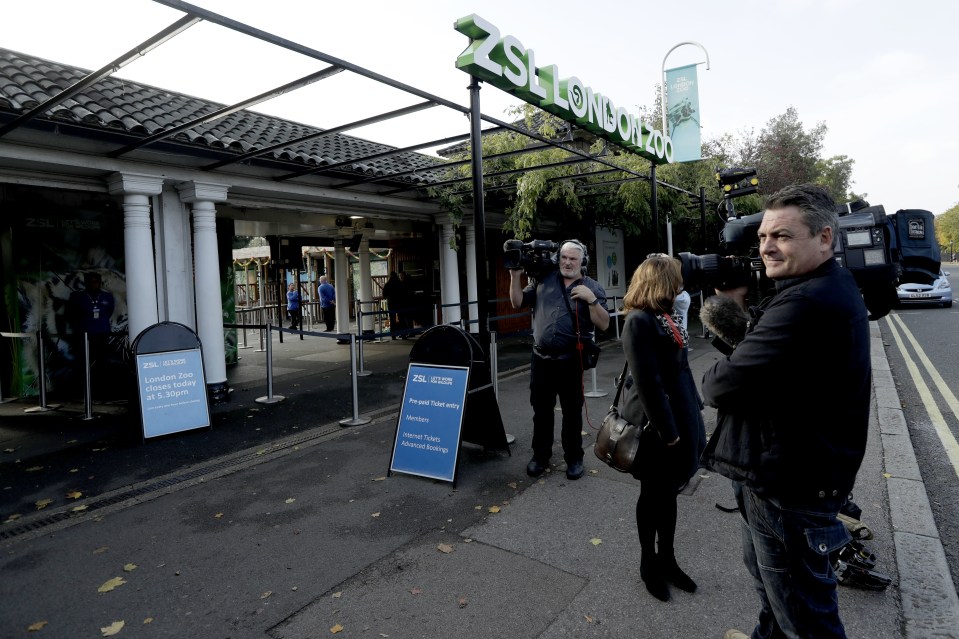  Members of the media stand outside the main entrance of London Zoo in London today