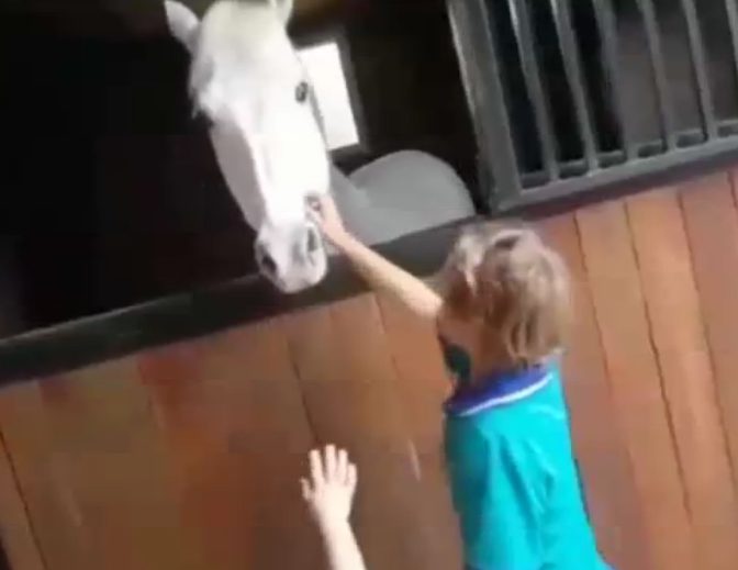 A delighted Sabastian pets his pet horse for the first time