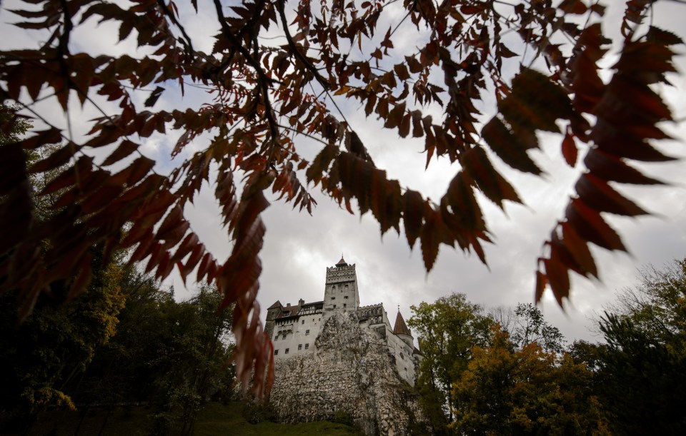 Two lucky people will get to stay in the creepy castle this Halloween