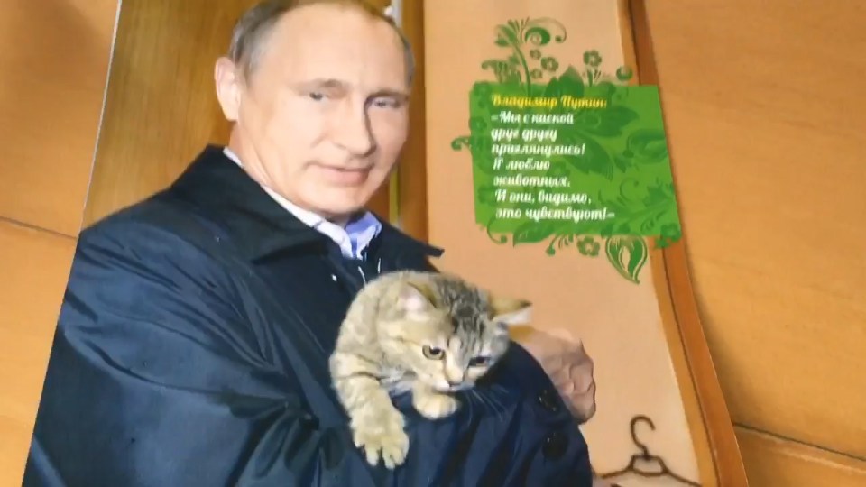  March sees the Russian president showing off his softer side by gently cuddling a kitten