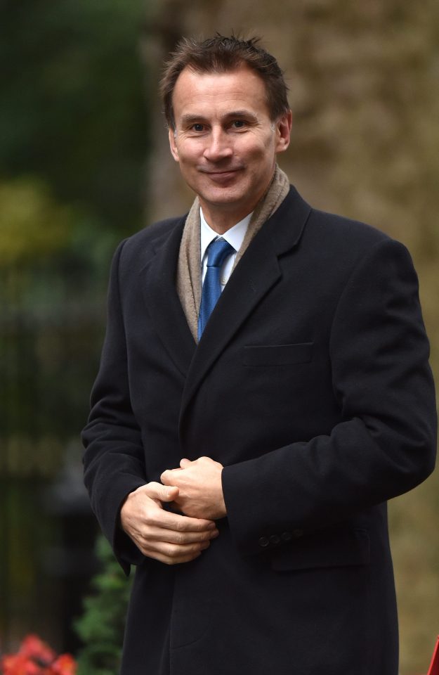  Jeremy Hunt says he will introduce measures to ensure the NHS meets its target of recouping the £500million from overseas patients