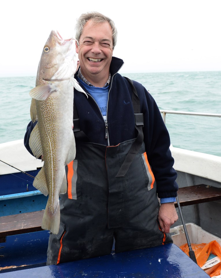  Ukip leader Nigel Farage catches a cod while fishing in the channel