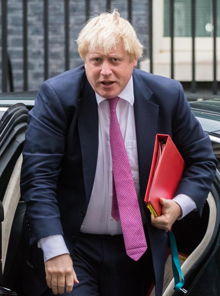 Boris fought to secure his aide's reputation but this was to no avail