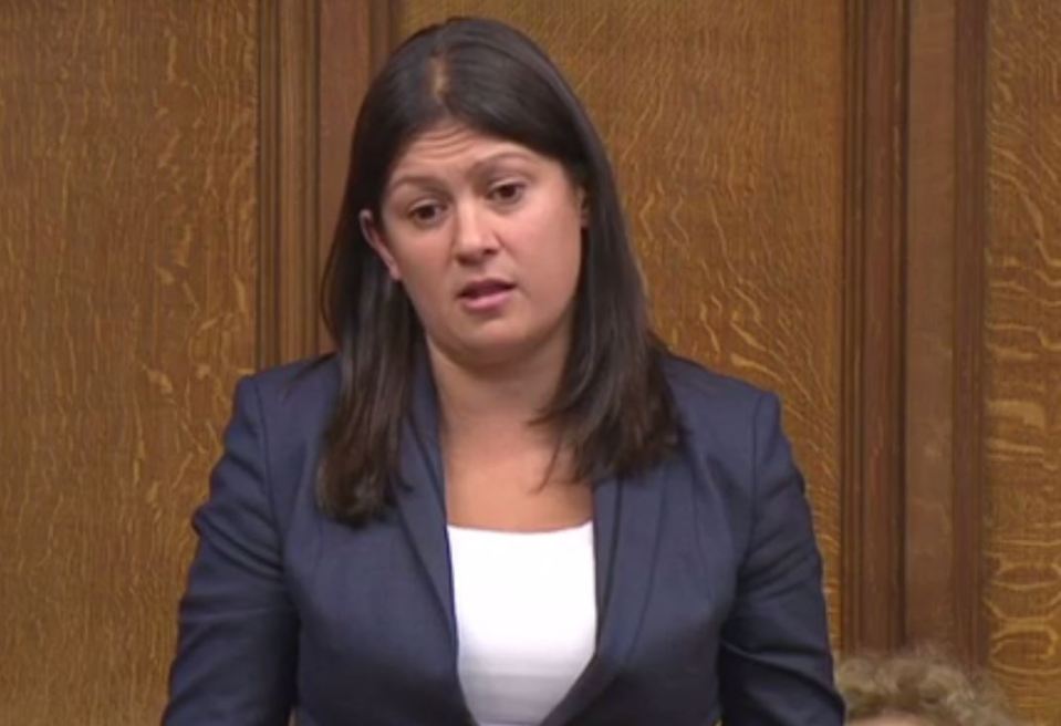  Labour MP Lisa Nandy said the allegations show the inquiry to be characterised by 'denial, secrecy and cover up'