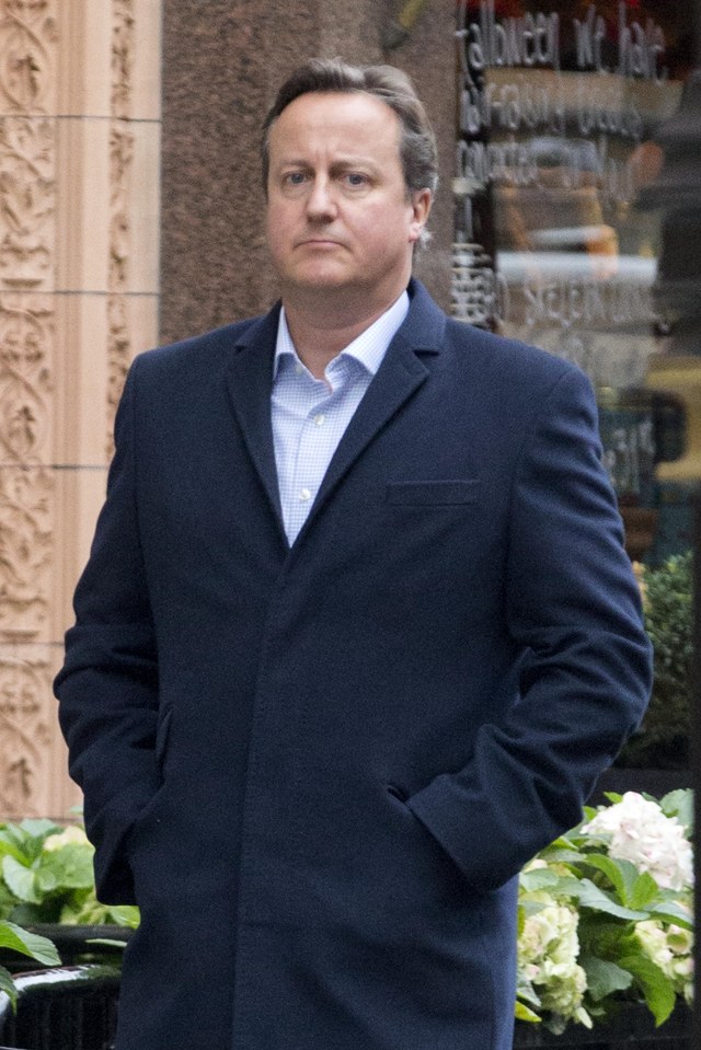 David Cameron, seen having a long lunch at Harry's Bar in Mayfair last week, has taken a job at a charity post No10