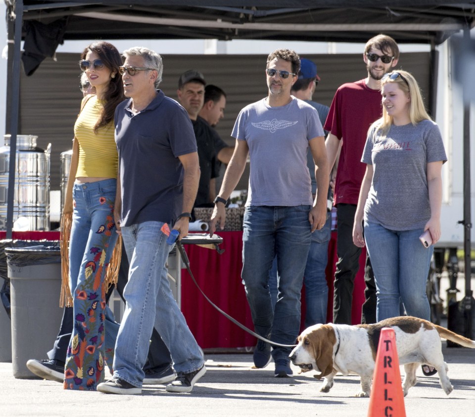 The pair were joined by their rescue dog Millie