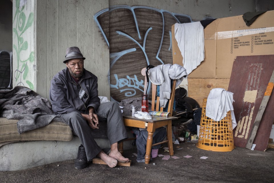 A major cluster of homeless live in Downtown LA, hiding under bridges or sleeping along railway lines