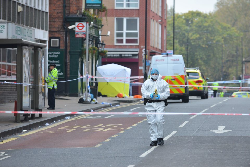  A murder investigation has been launched after a 33-year-old man was found stabbed to death in North London.