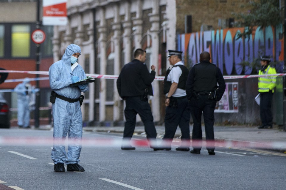  Met Police detectives from Homicide and Major Crime Command are investigating the incident