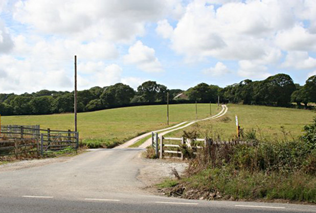  The severed foot was discovered in Nasvallan Woods in Cornwall