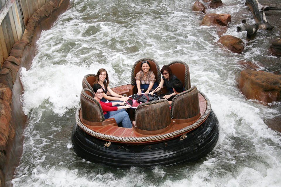  The ride was described as 'family-friendly for passengers over 120cm (3.9ft)'