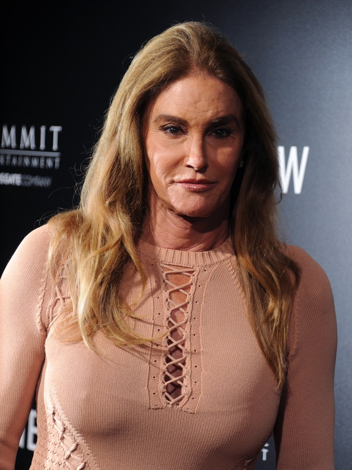  Caitlyn turns heads in a dusky pink dress at Mel Gibson's film premiere