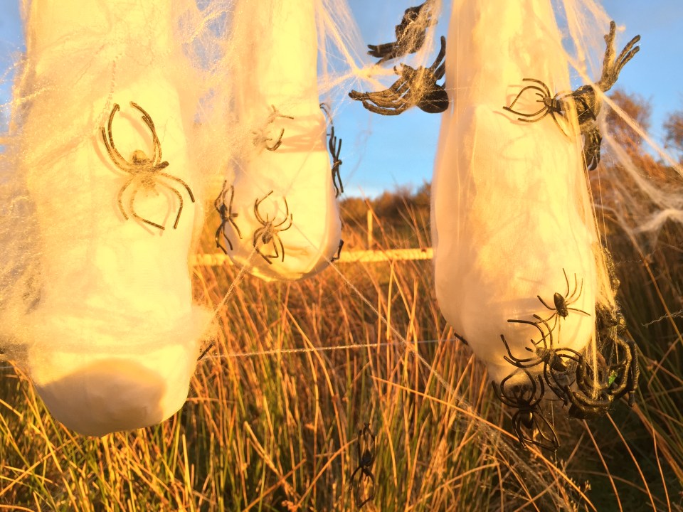  You can even hang them outside to make your garden spookier