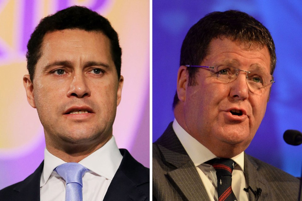  The internal inquiry cleared Mike Hookem of punching Steven Woolfe