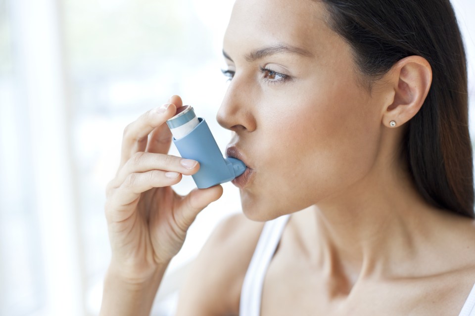  Scientists believe the experiment will bring them one step closer to being able to develop a pill to treat asthma