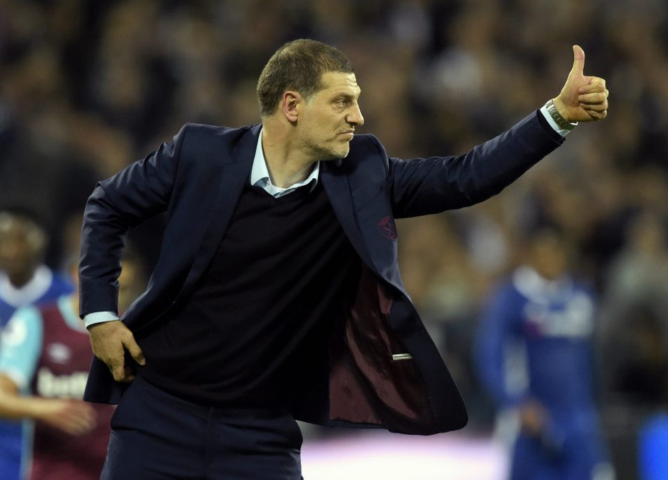  Slaven Bilic looked a relieved man as his gameplan worked perfectly