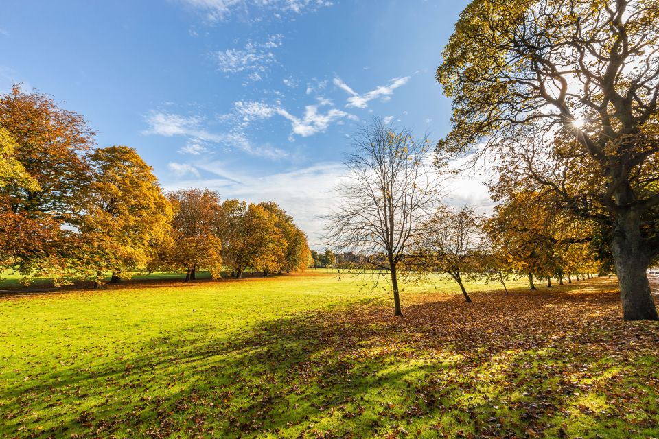  Blue skies in the North at Harrogate