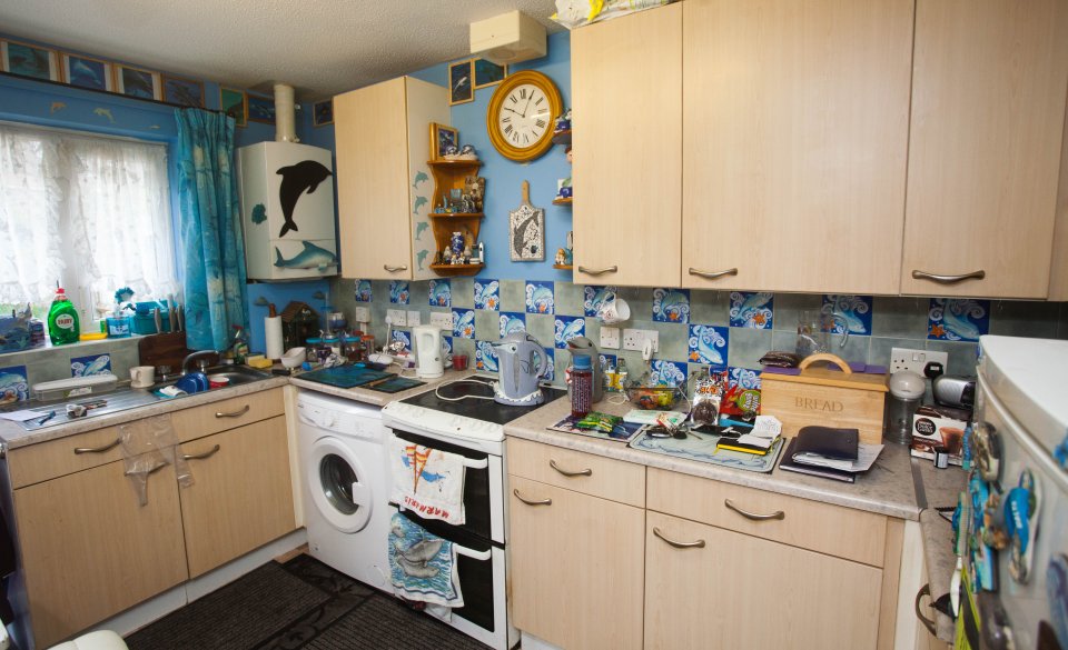  Michael's kitchen is also full of dolphin collectables