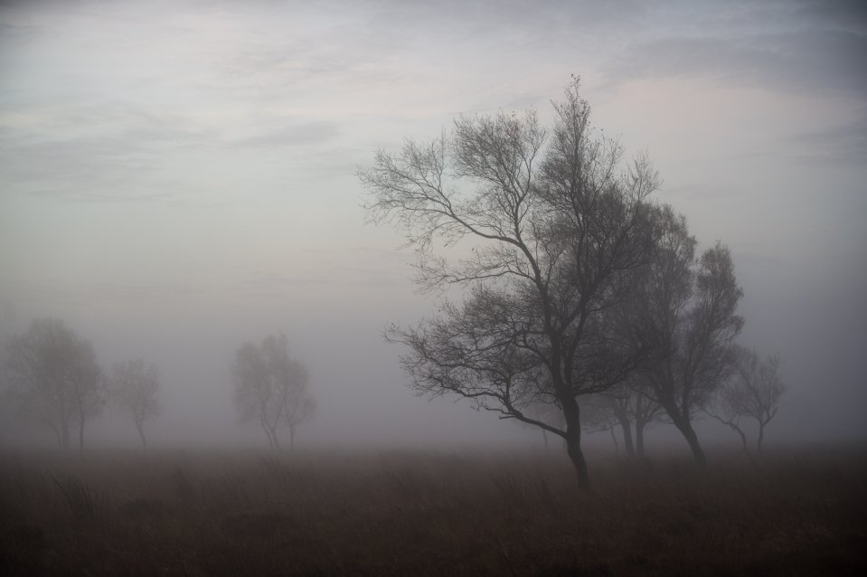  A beautiful misty autumnal morning in the Peak District, Derbyshire, this morning