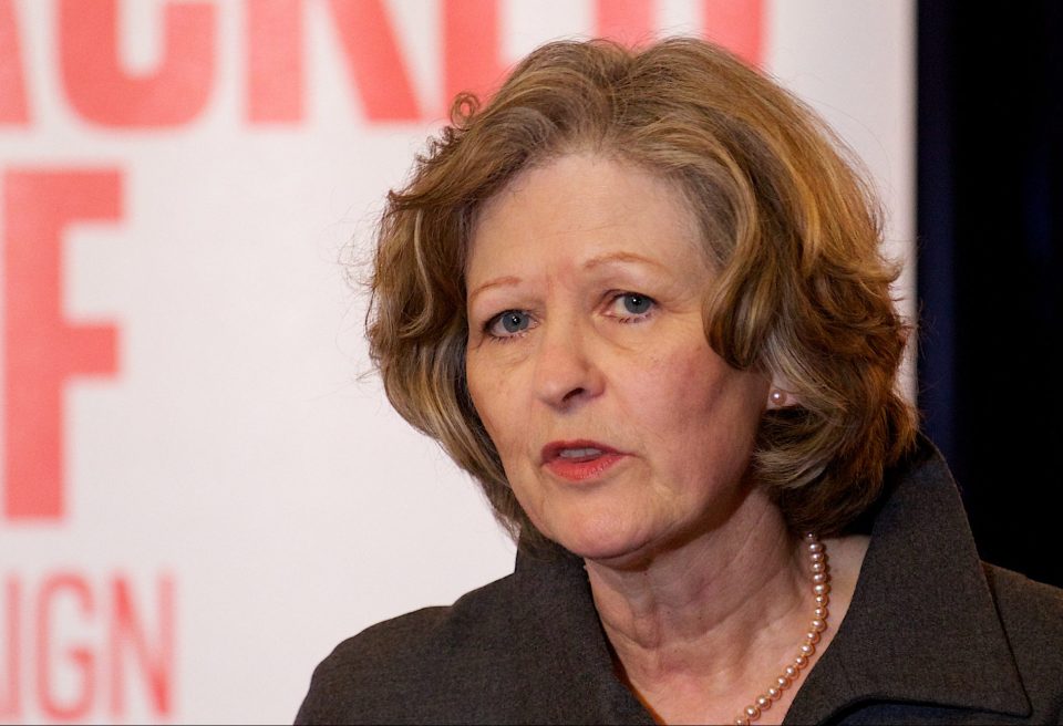  Baroness Hollins hijacked the bill in the House of Lords two weeks ago with a bid to implement a recommendation from the Leveson Inquiry on press standards