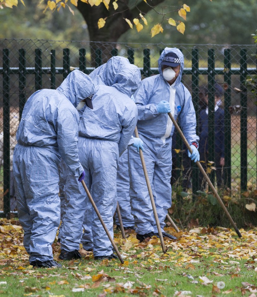 Croydon murder scene