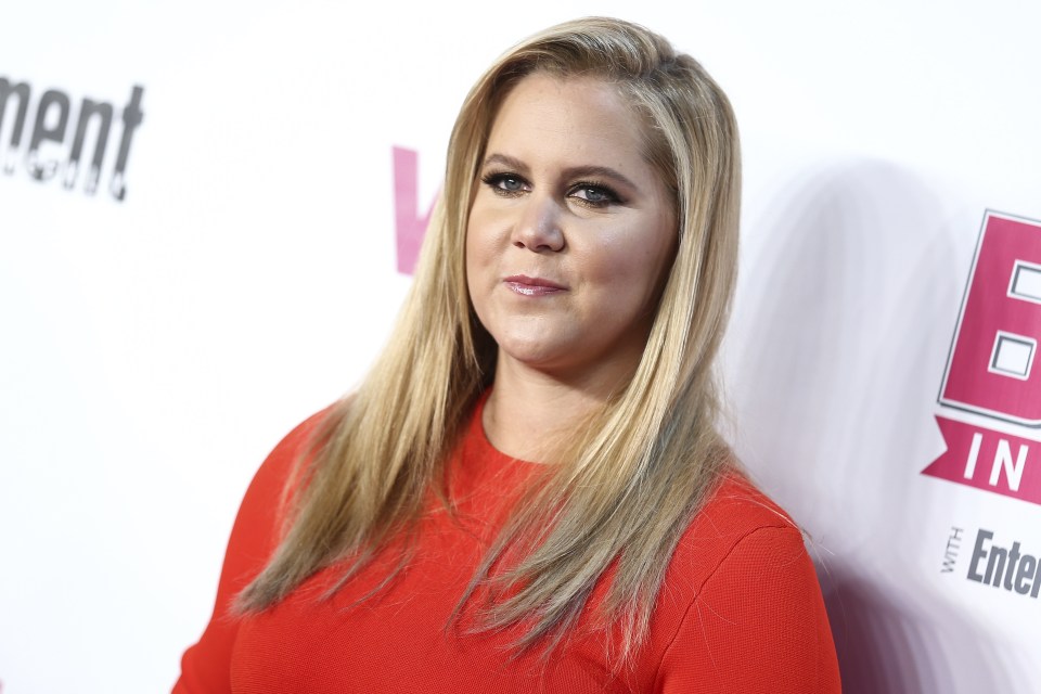  Amy Schumer upset Trump supporters at her gig in Florida when she called him an "orange sex-assaulting monster"