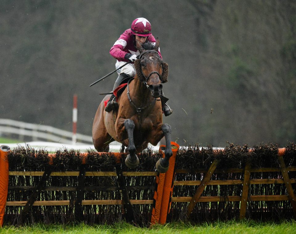  Alpha Des Obeaux got off the mark over fences at the second time of asking