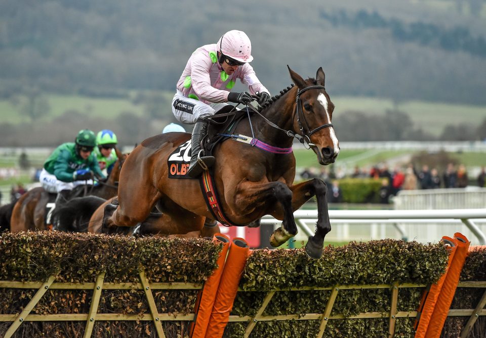  Vroum Vroum Mag has classy form over both fences and hurdles