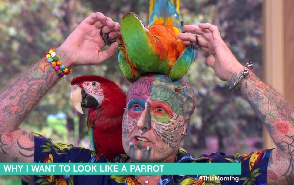  Parrot man Ted brought along two of his feathered friends, one of which liked to balance on his head