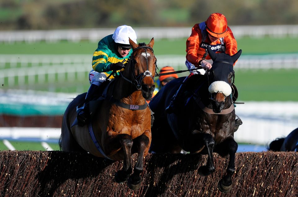  More Of That (left) finished sixth in the Gold Cup