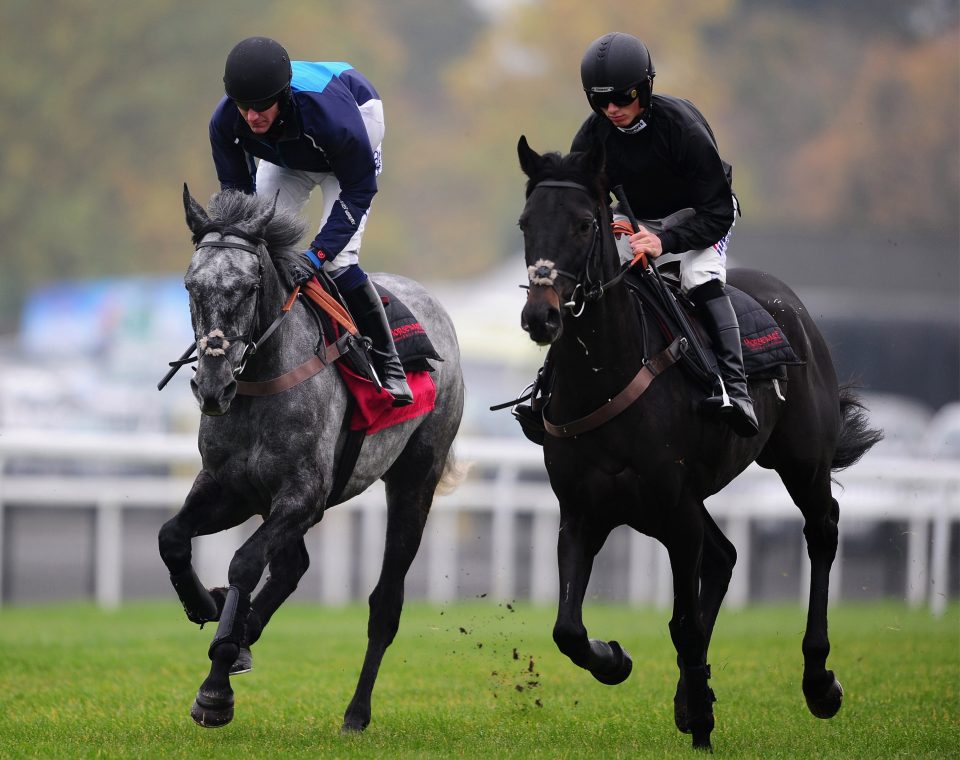  Aux Ptits Soins( left) could develop into a smart chaser