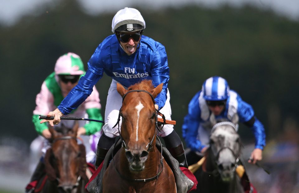  Dutch Connection missed the Lockinge due to the ground