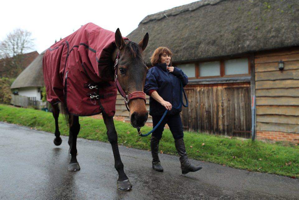  Sara Bradstock walks Coneygree through the local village