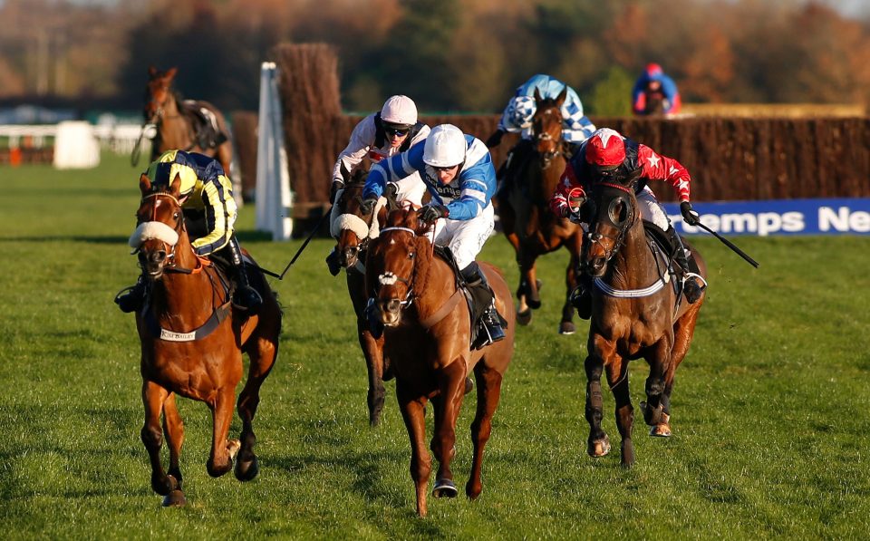  Roman Flight (R, red) got up late to win at Newbury