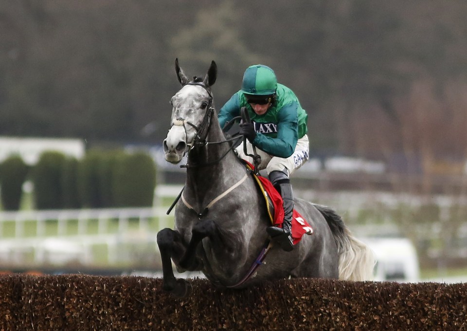  Bristol De Mai enjoyed a profitable season over fences