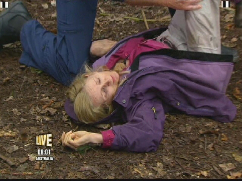  Food for thought ... 'nutritionist' Gillian McKeith came over all faint in 2010