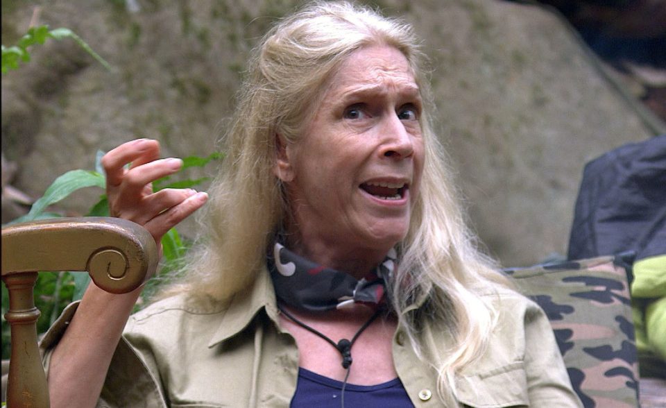  Blue blood ... Lady C's daily battles with her camp-mates saved 2015's series