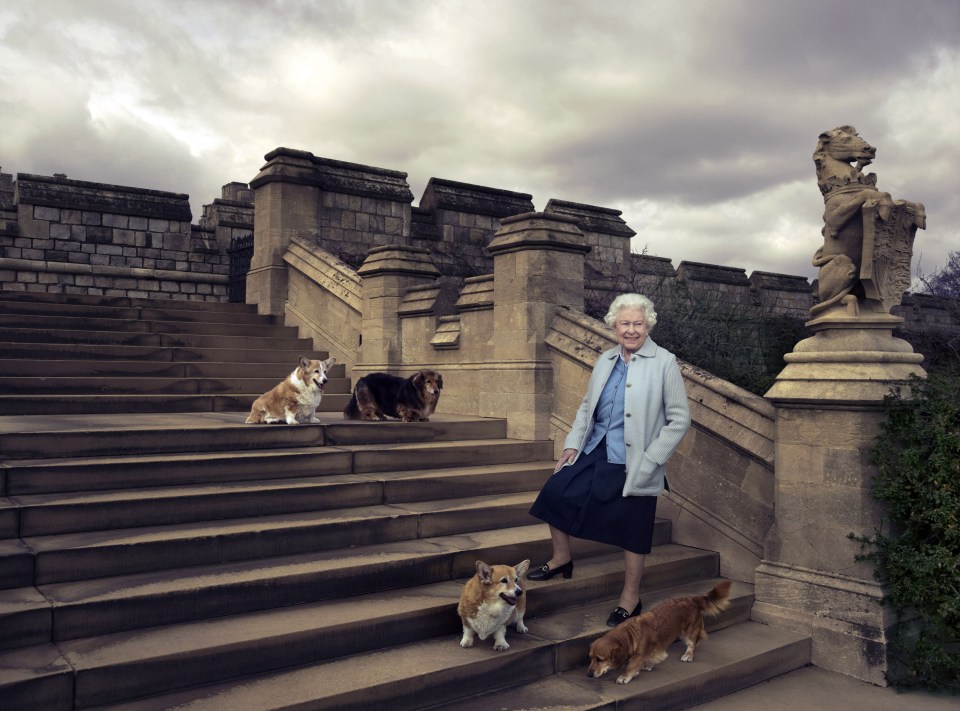  The Queen is also a huge dog lover