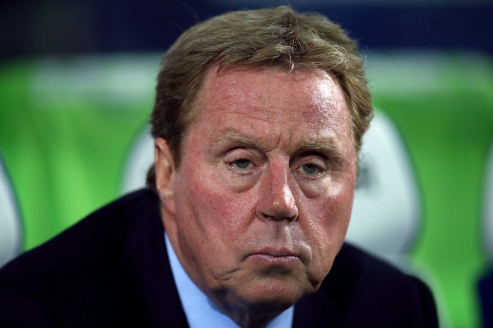  Harry Redknapp has thrown his hat into the ring to take over at Swansea