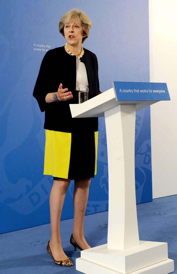  Theresa May announced the creation of new grammars in September as her flagship education policy