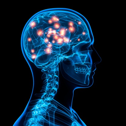  The subjects in the study exhibited greater cognitive skill, faster reaction times and stronger processing skills - plus more high-frequency Alpha-waves - than those who ate ordinary breakfasts