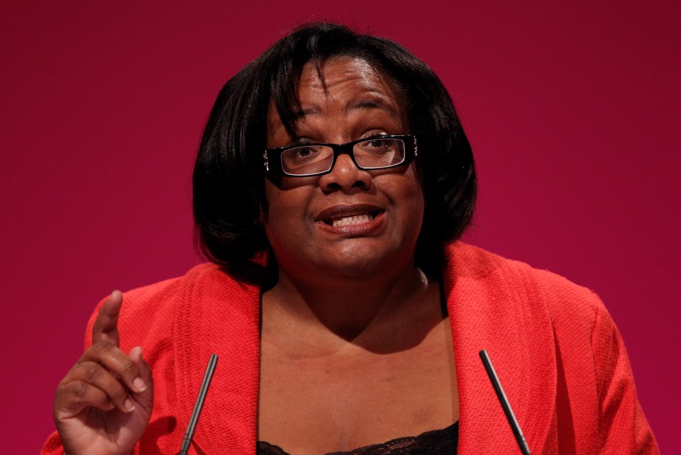  Apparently responsibility for immigration falls with Diane Abbott, the shadow home secretary