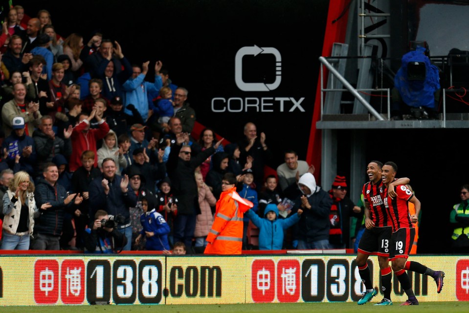  Bournemouth fans have certainly had much to cheer about over the past few years