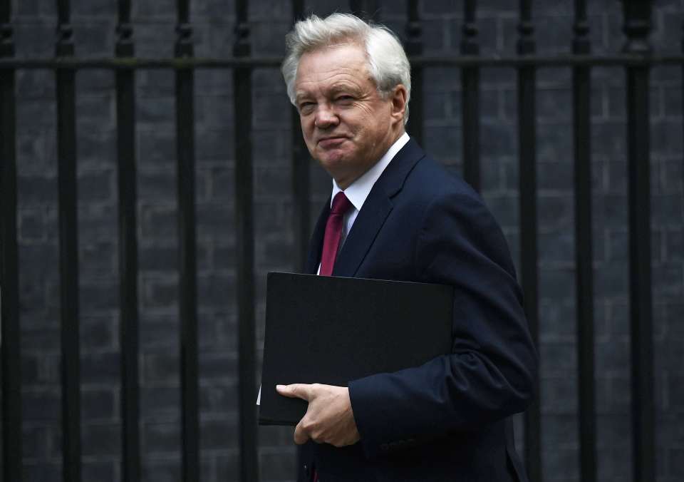 David Davis, Secretary of State for Exiting the European Union arrives at Downing Street in London