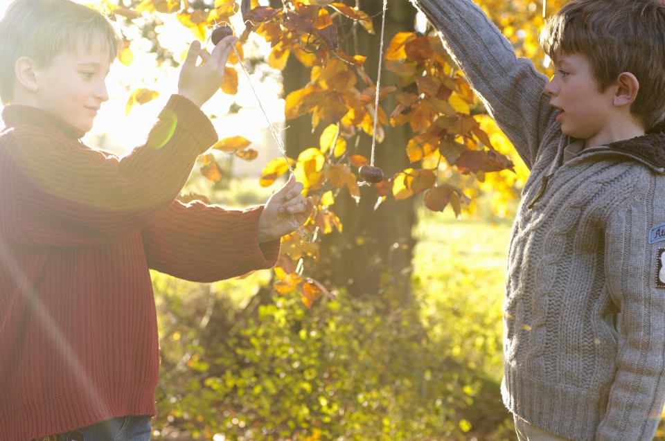 Two boys (6-8) playing with conkers in garden, autumn, (lens flare)