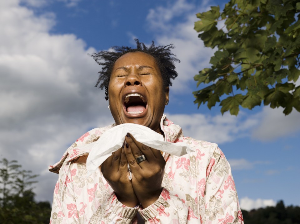  24 per cent of workers predict they'll be struck down with such a stinking cold or bout of the flu this winter