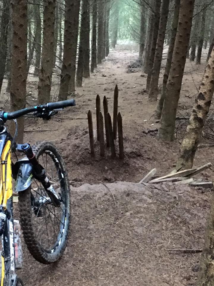  This series of wooden spikes was found next to a bike jump in Delamere Forest by a rider