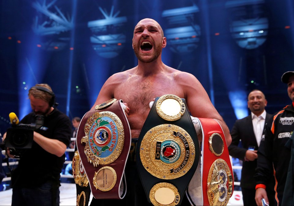  Tyson Fury defied the odds to defeat Wladimir Klitschko in Germany